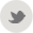 Follow Sonic on Twitter